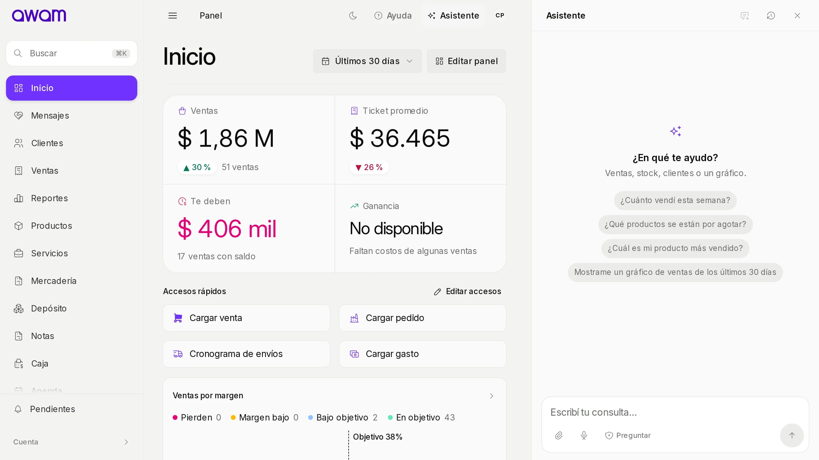 Asistente del dueño abierto al costado del panel