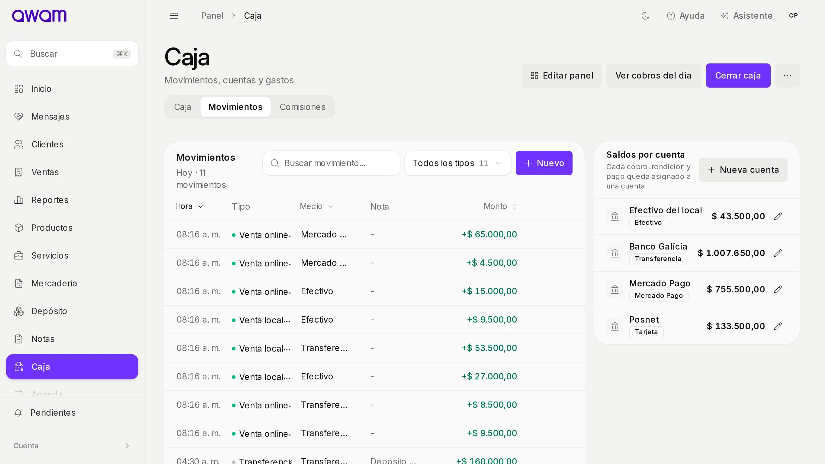 Movimientos de caja del día y saldos por cuenta